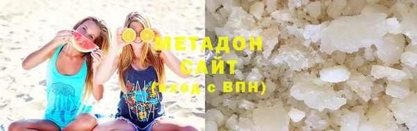 прущие грибы Аркадак