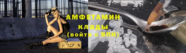 прущие грибы Аркадак