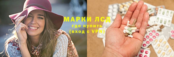 прущие грибы Аркадак