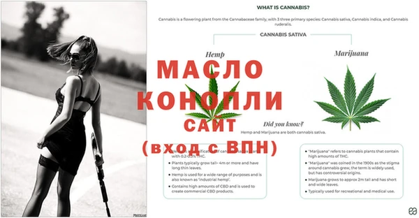каннабис Сясьстрой