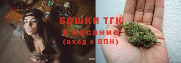 прущие грибы Аркадак