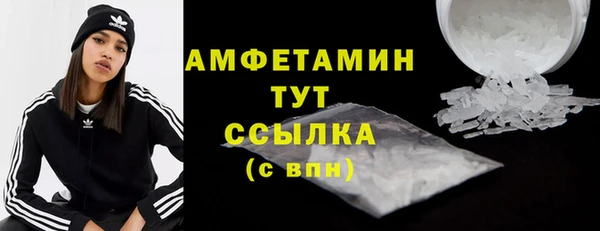 прущие грибы Аркадак