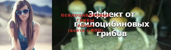 прущие грибы Аркадак