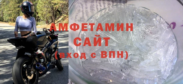 прущие грибы Аркадак