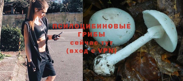 таблы Арсеньев