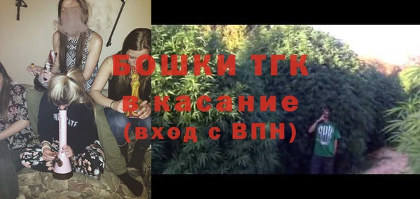 прущие грибы Аркадак