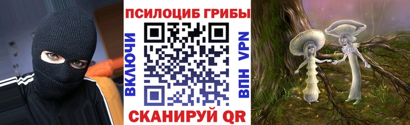Псилоцибиновые грибы Psilocybine cubensis  цена   Чехов 